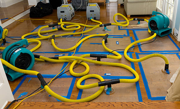 Professional Crawl Space Water Removal technician working in Wilmer, TX